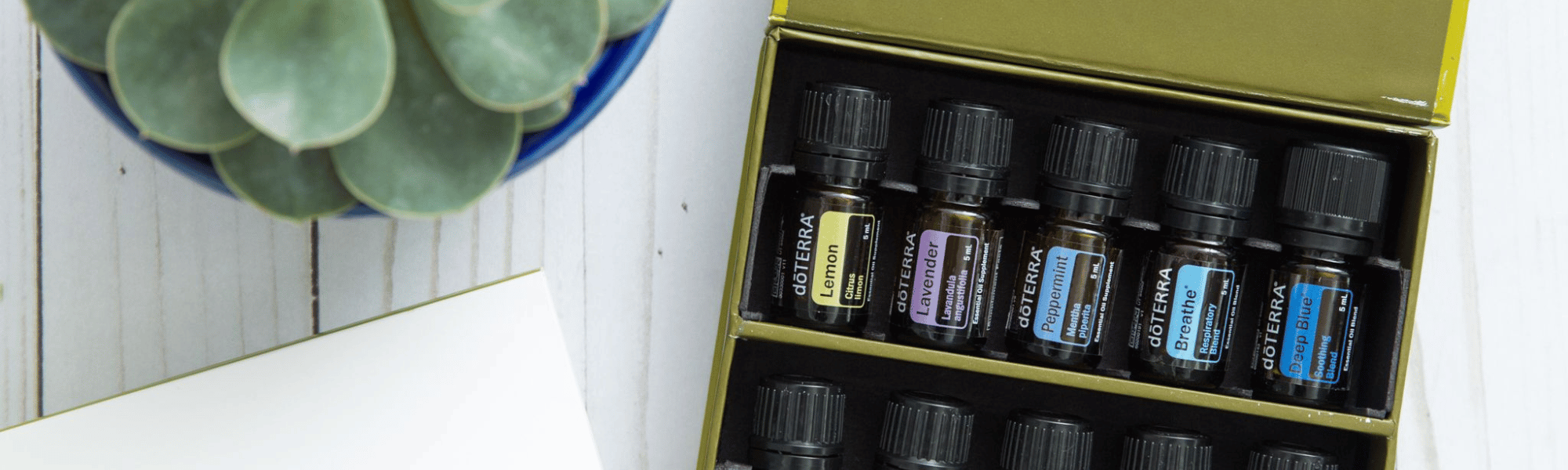 Een natuurlijke EHBO kit met etherische oliën