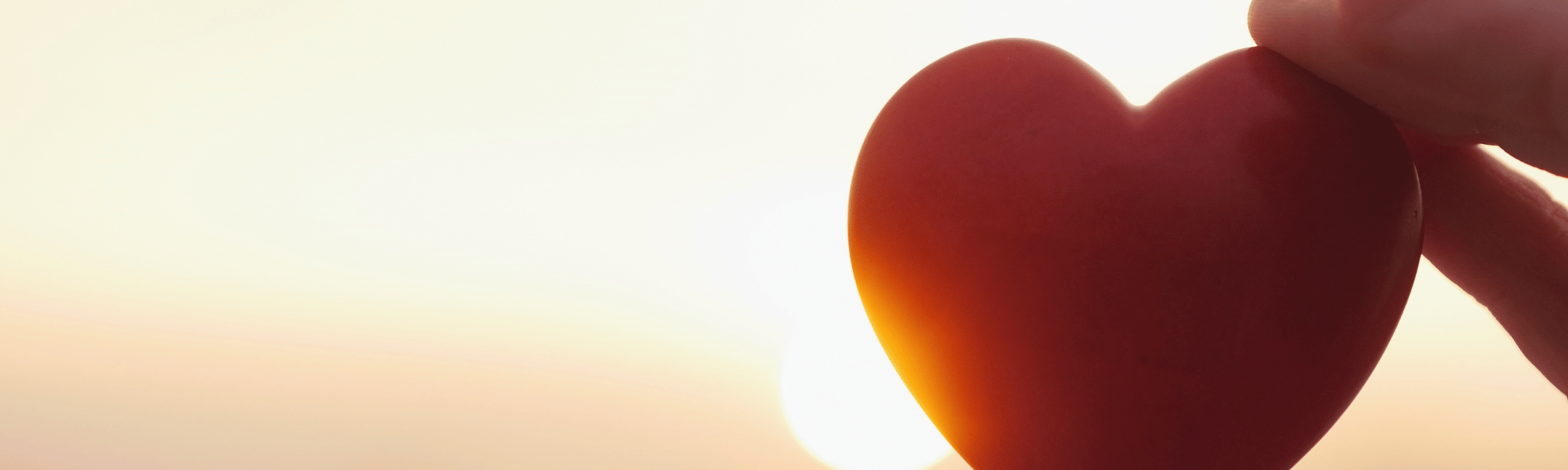 Elke dag 1 gratis olietip in je whatsapp